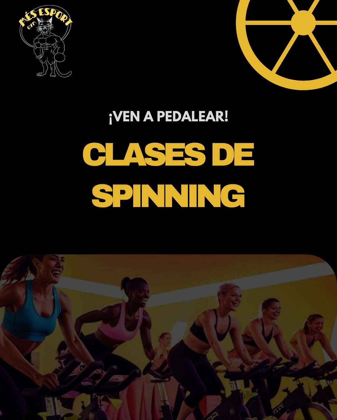Spinning